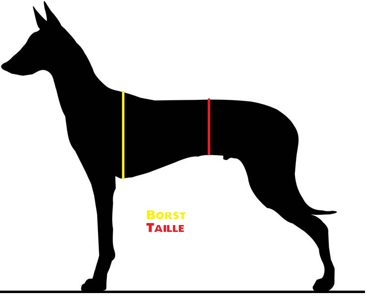 borst taille